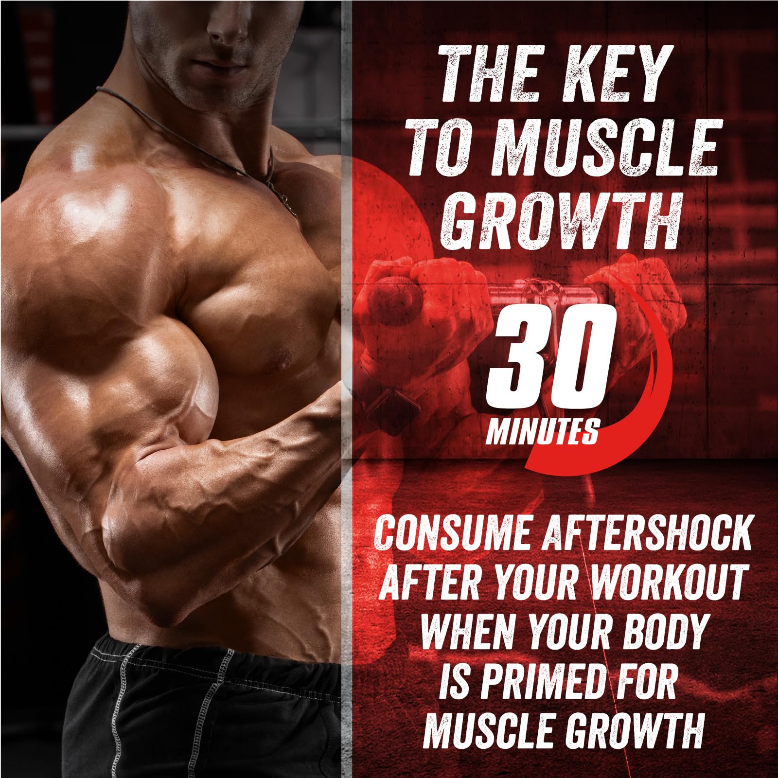 Closeup of the tub label highlights creatine and recovery nutrients.