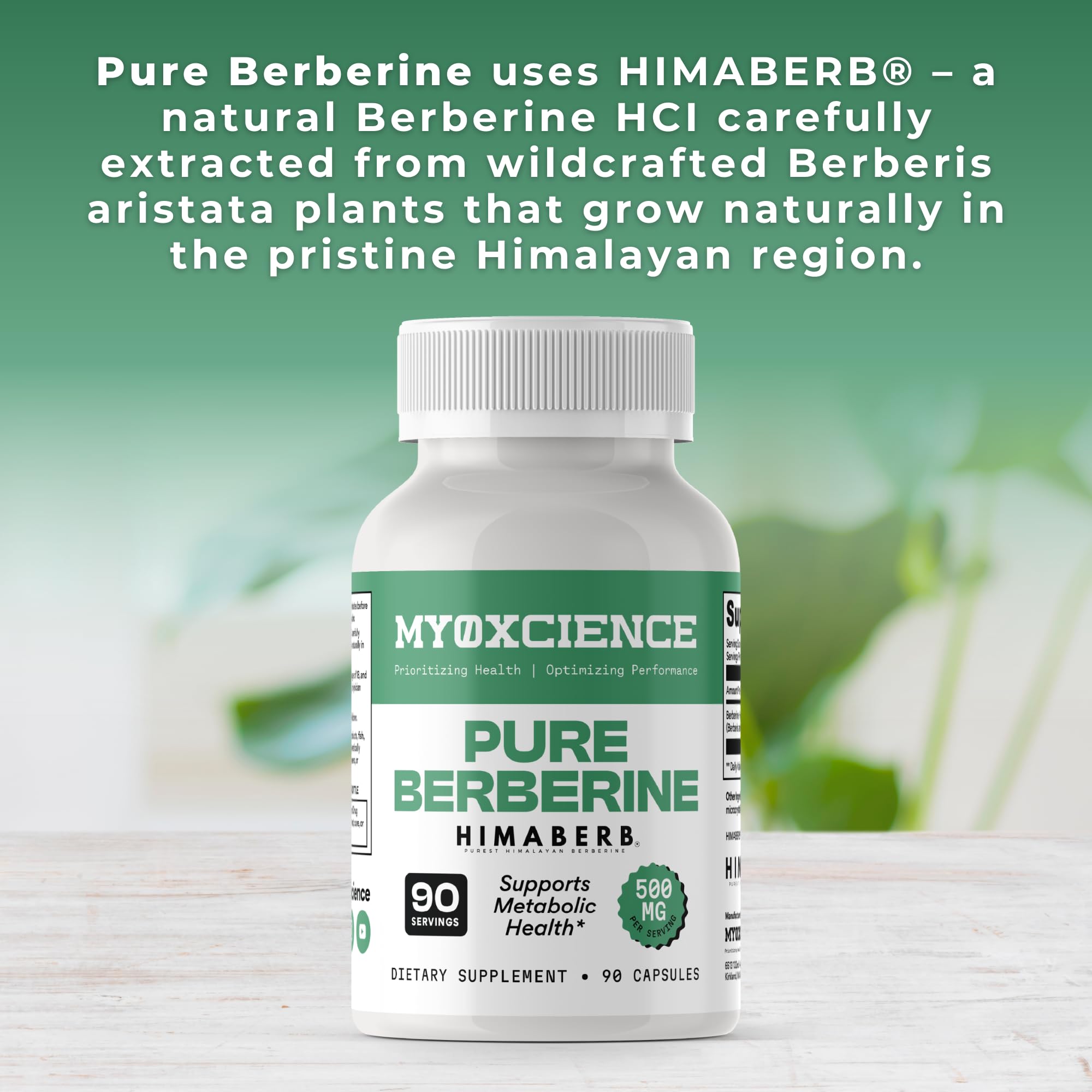 MYOXCIENCE Pure Berberine Himaberb bottle label close-up showing quality and ingredients