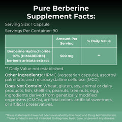 MYOXCIENCE Pure Berberine Himaberb capsule close-up for daily wellness use