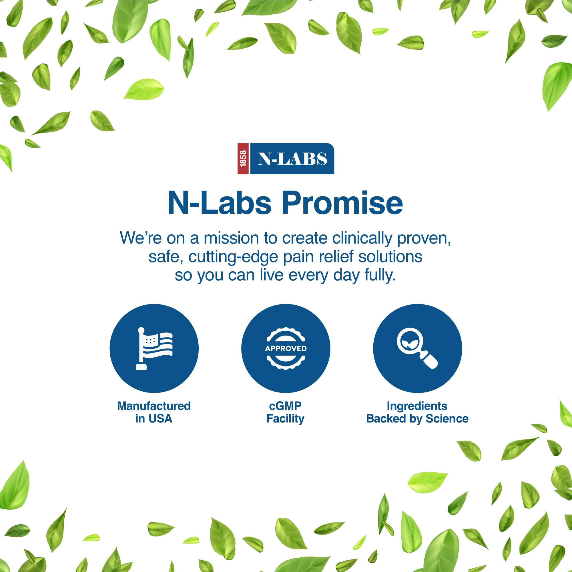 N-Labs Arctic Blast key ingredients include menthol, camphor, DMSO for enhanced penetration.