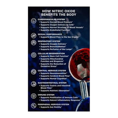 Powder scoop with N.O. Beetz illustrates precise serving for sustained energy.