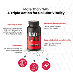 NAD PLUS Revive + Immune daily-dose pack showing one-pill-per-day convenience.