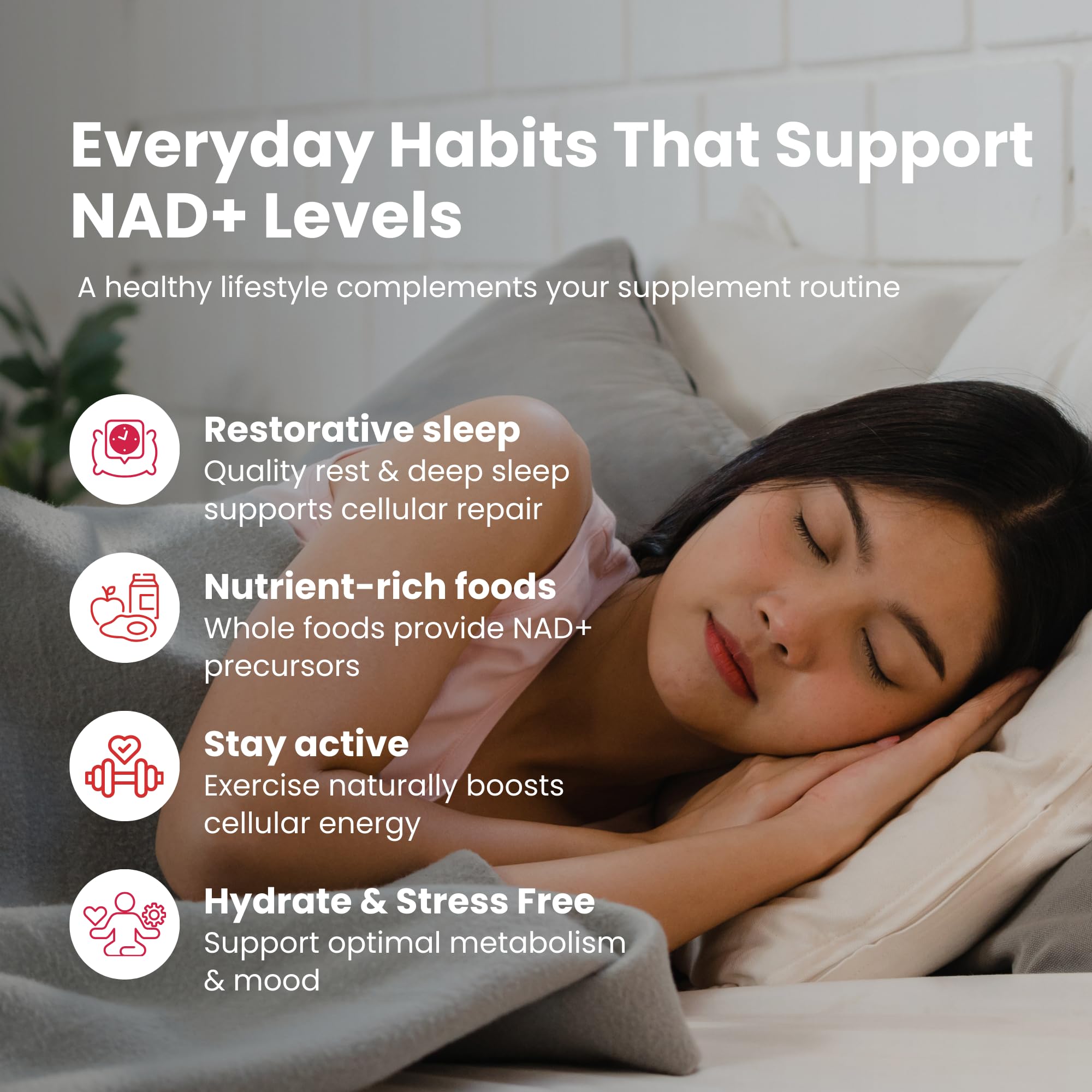 NAD PLUS Revive + Immune GMP-certified facility marking for quality manufacturing.