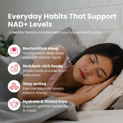 NAD PLUS Revive + Immune GMP-certified facility marking for quality manufacturing.