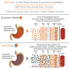 Nanocur label refresh signaling trusted quality and care.