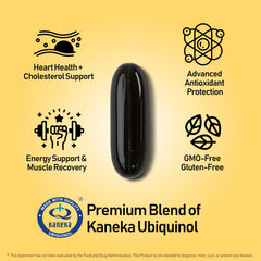 NANOWELL HeartOn Active CoQ10 Kaneka ubiquinol ingredients highlight for heart support