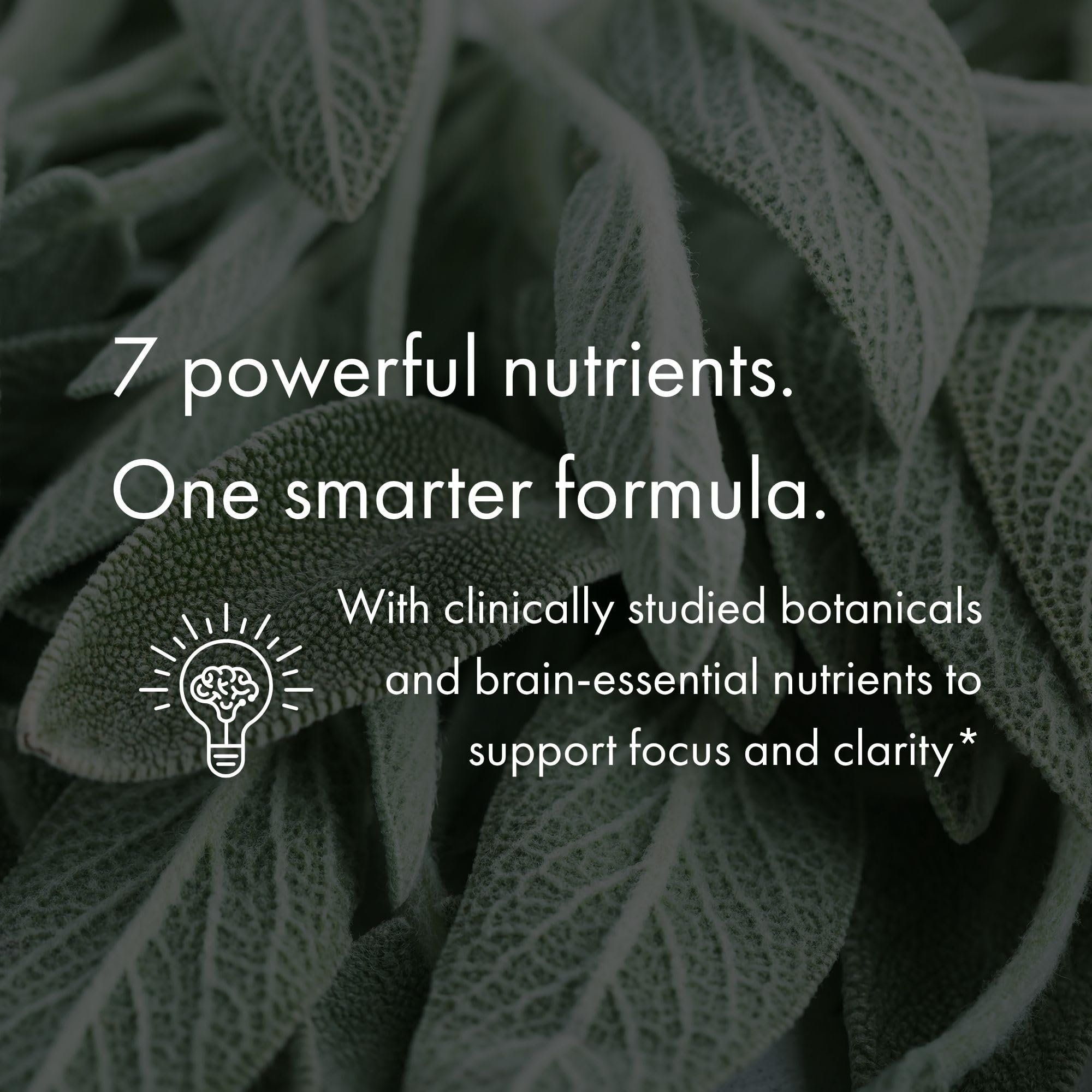 NAOMI CognatiQ coffee fruit extract shown for neural support potential.