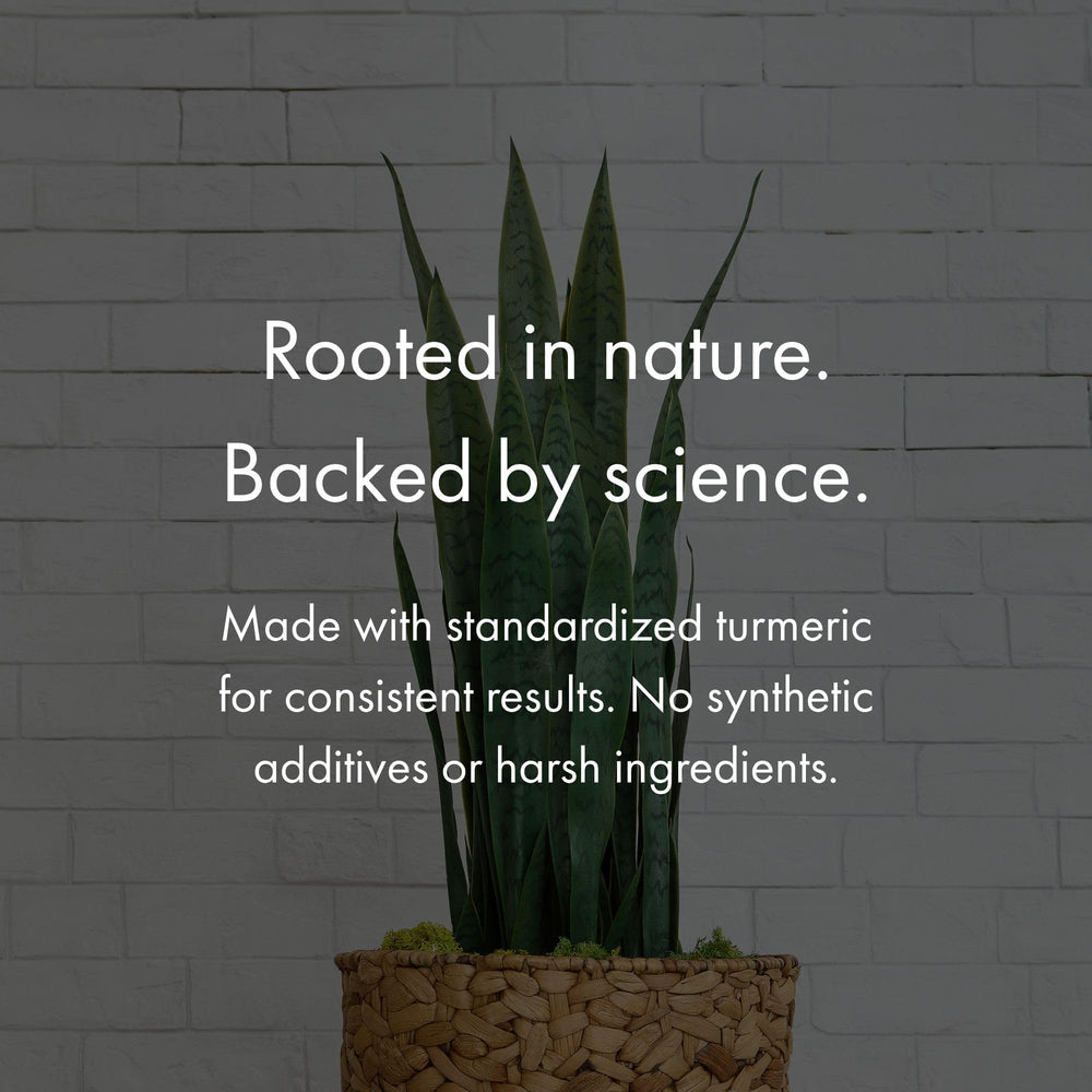 NAOMI USA facility image communicates quality and trusted manufacturing standards