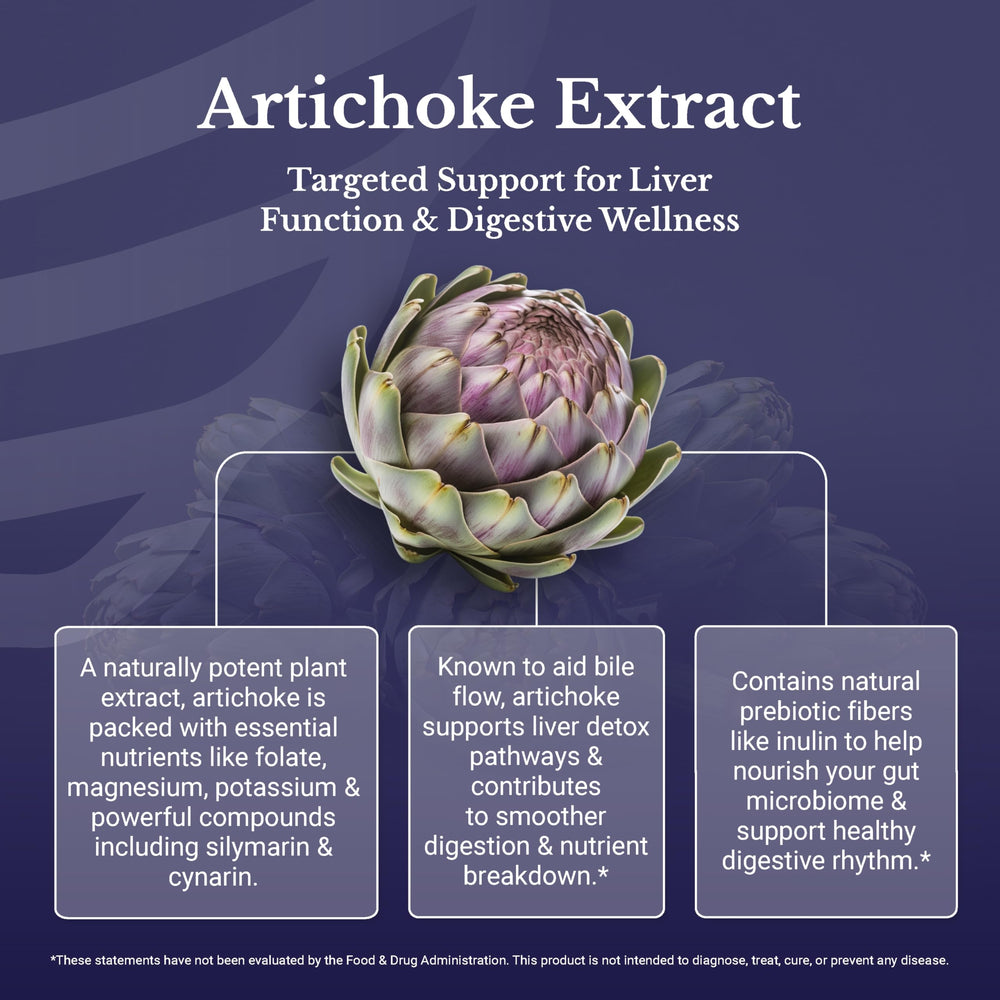 Nation Health MD Artichoke 500mg capsules on display underscores vegan formula.