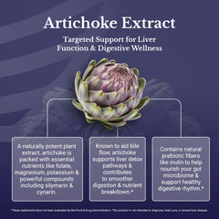 Nation Health MD Artichoke 500mg capsules on display underscores vegan formula.