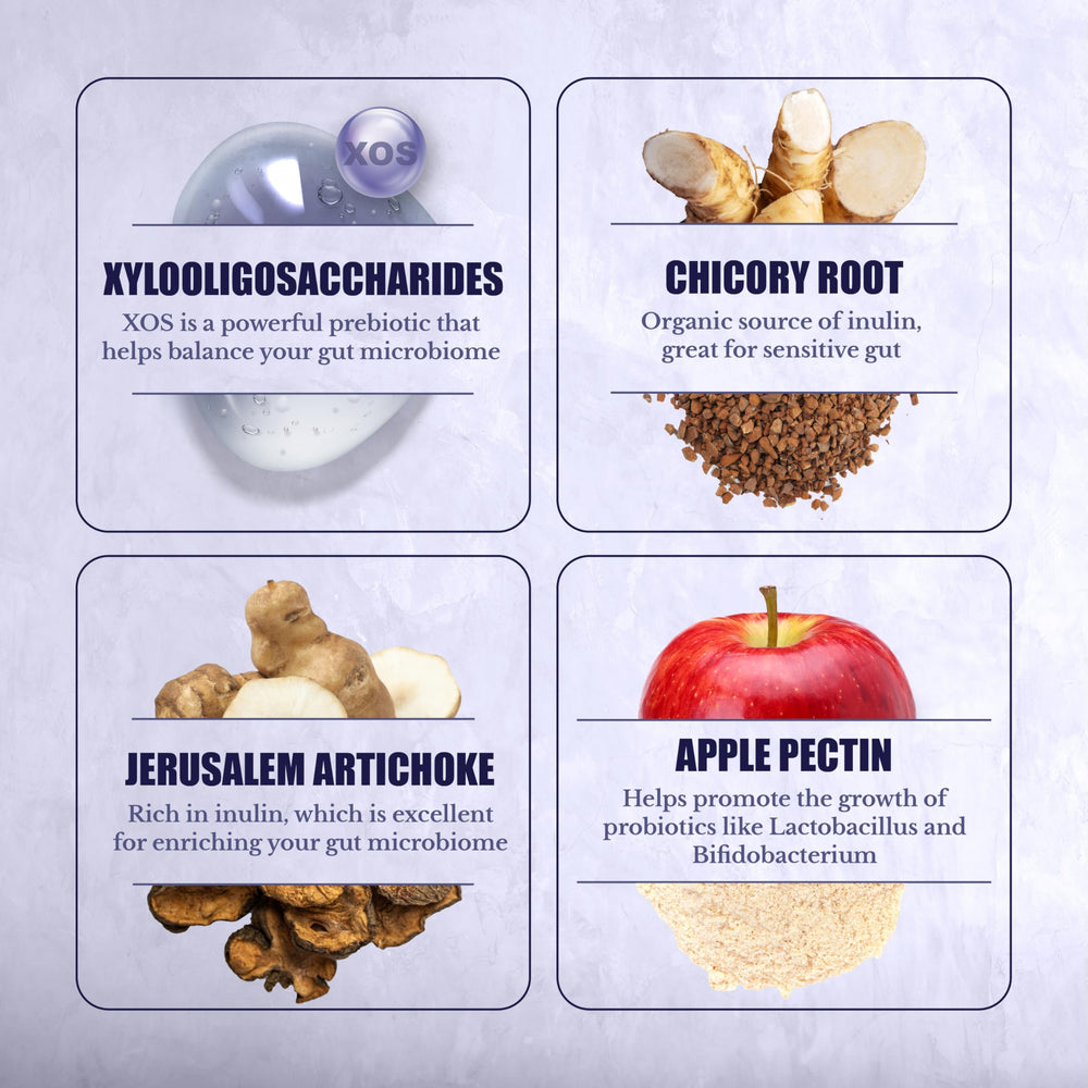 Easy daily use Nation Health MD prebiotics capsules ready to take