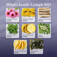 Nation Health MD Lymph MD ingredients panel with dandelion and turmeric.