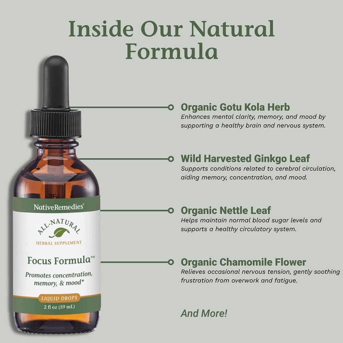 Native Remedies Focus Formula drops dispense demonstrating convenient tincture use