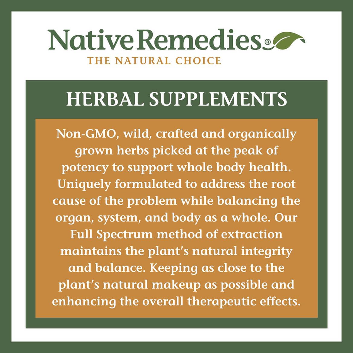 Native Remedies Focus Formula usage scene depicting a daytime routine for focus