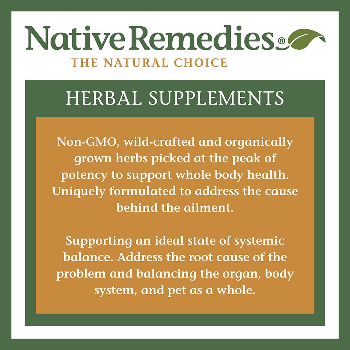 Native Remedies Inflam Dr in a daily-use scene as part of a routine