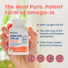 NativePath phospholipid-bound omega-3 detail suggesting improved absorption potential