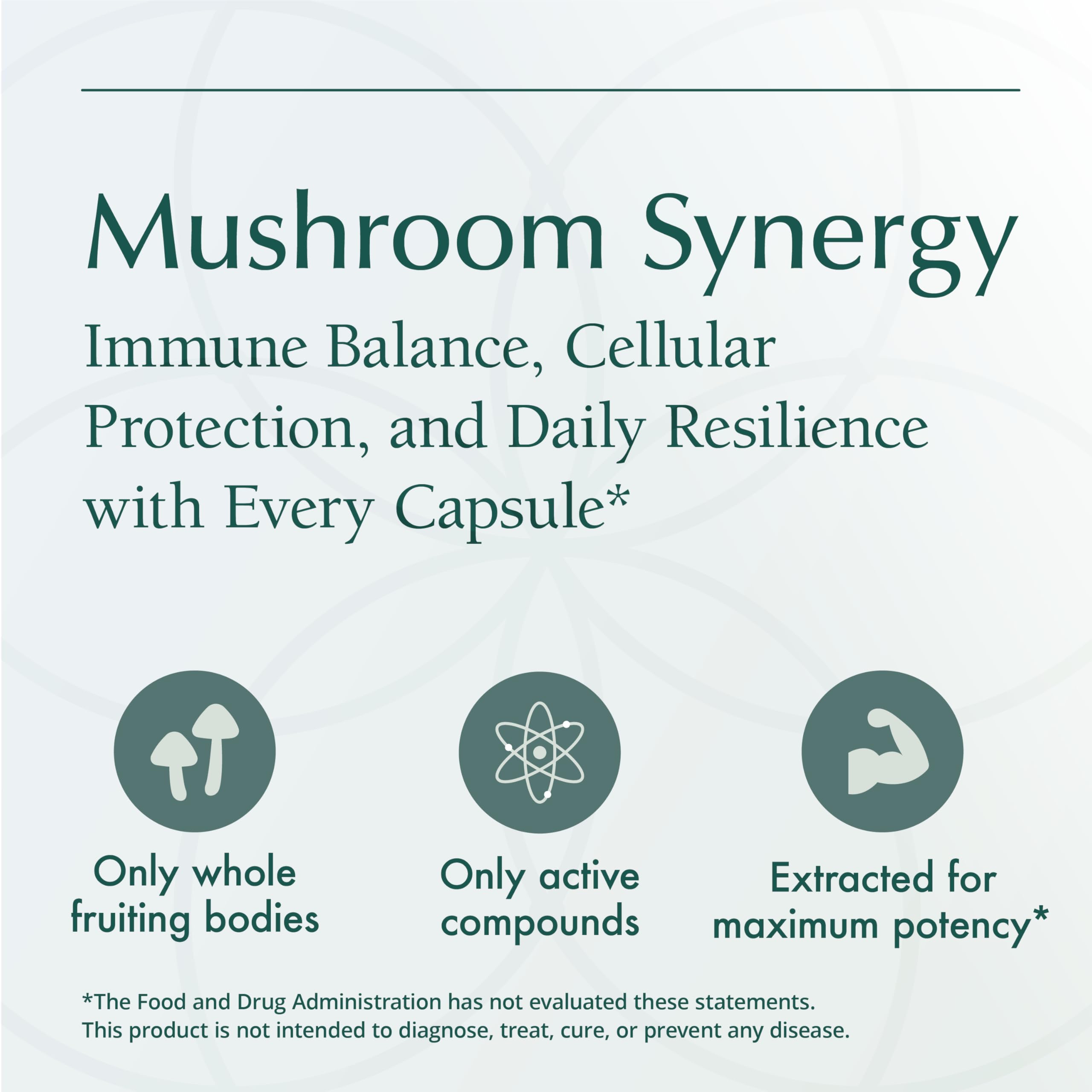 Natura Health Mushroom Synergy liver-support herbs and supplement display.
