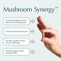 Natura Health Mushroom Synergy red reishi capsules for immune signaling support.