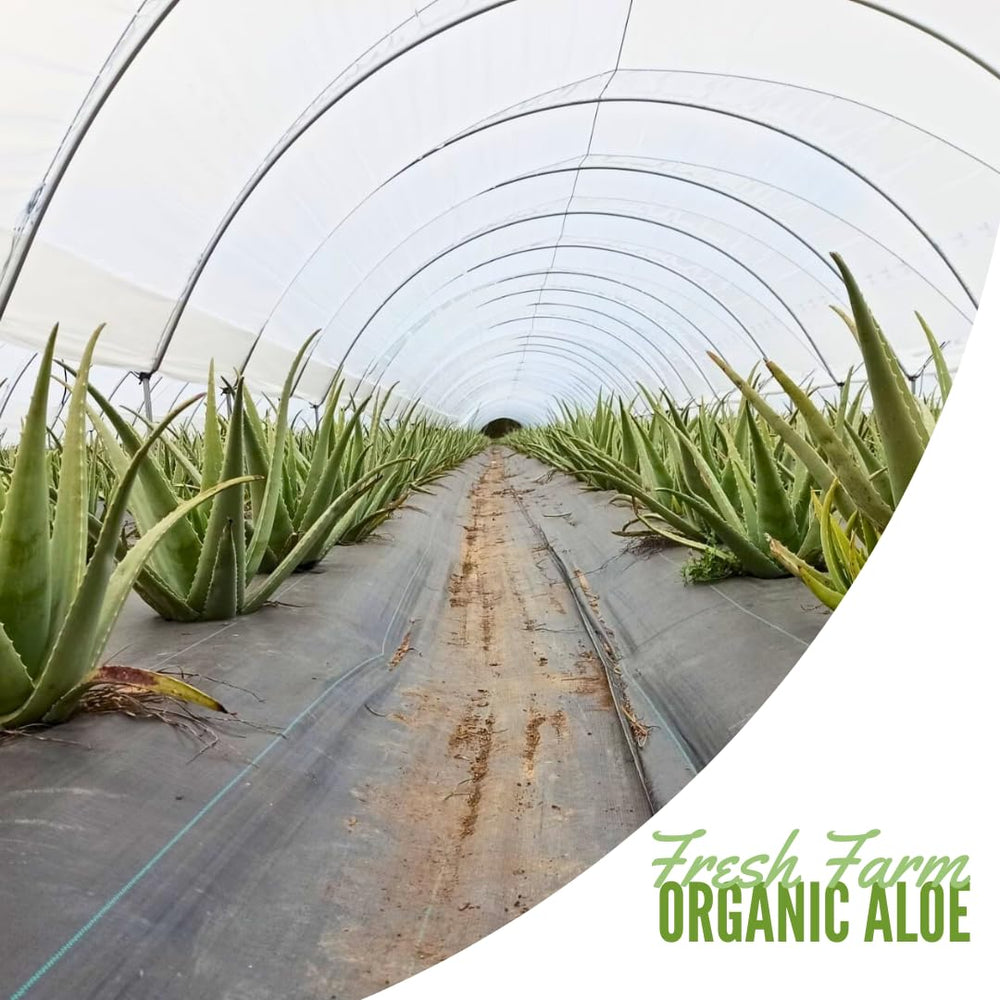 Naturae organic ingredients graphic communicates clean sourcing for everyday wellness.