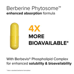 Natural BioScience Berberine Phytosome Berbevis label shows premium formulation