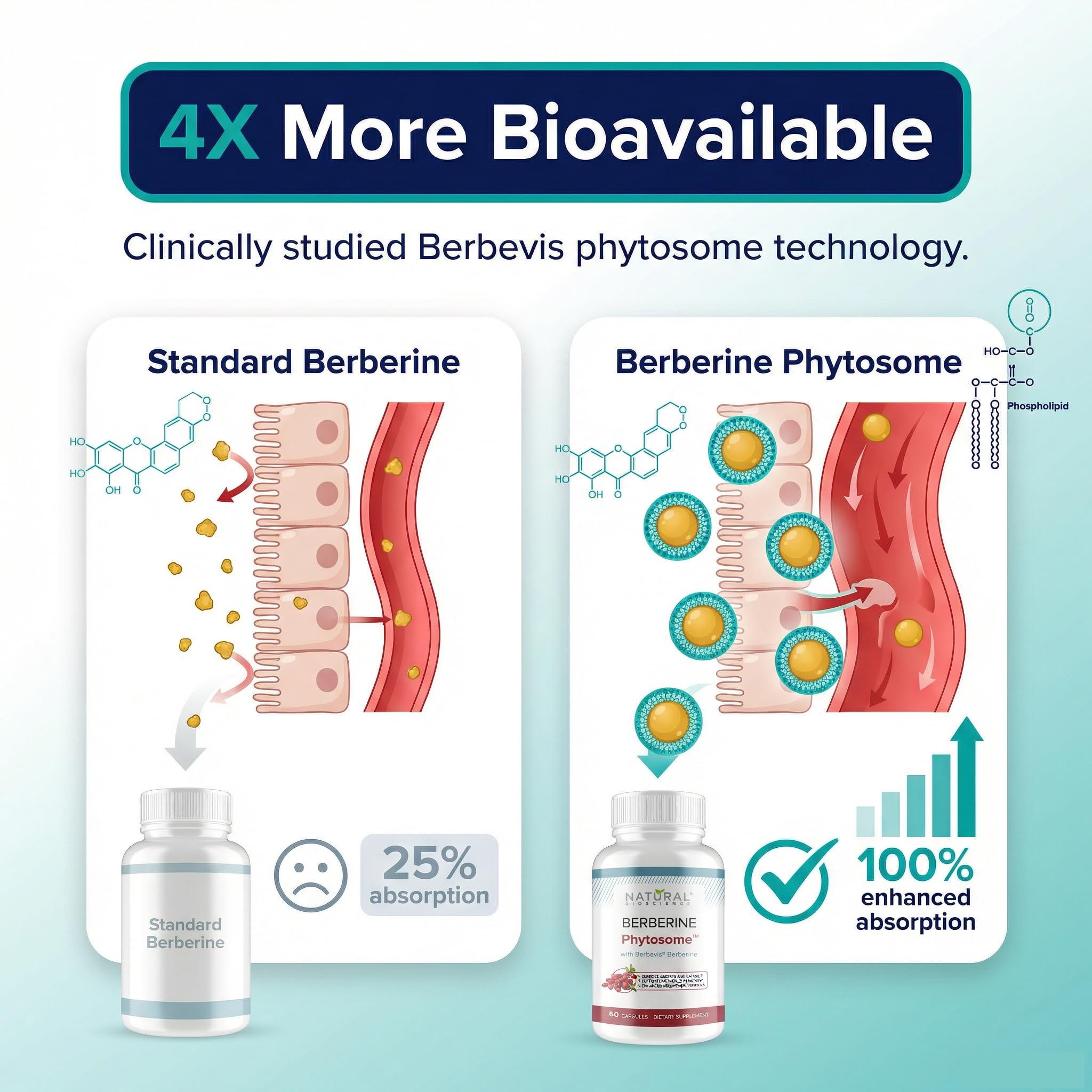 Closeup of Natural BioScience Berberine Phytosome capsules highlighting quality and texture