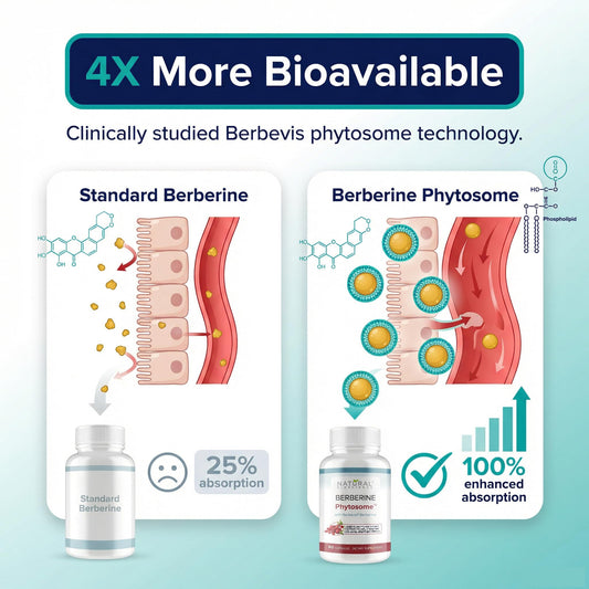 Closeup of Natural BioScience Berberine Phytosome capsules highlighting quality and texture