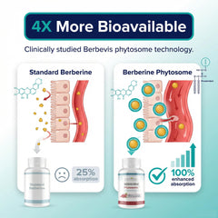 Closeup of Natural BioScience Berberine Phytosome capsules highlighting quality and texture