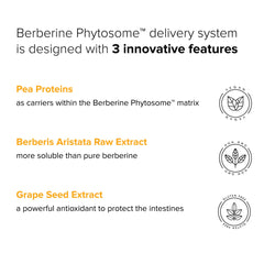 Natural BioScience Berberine Phytosome GMP-tested facility quality assurance