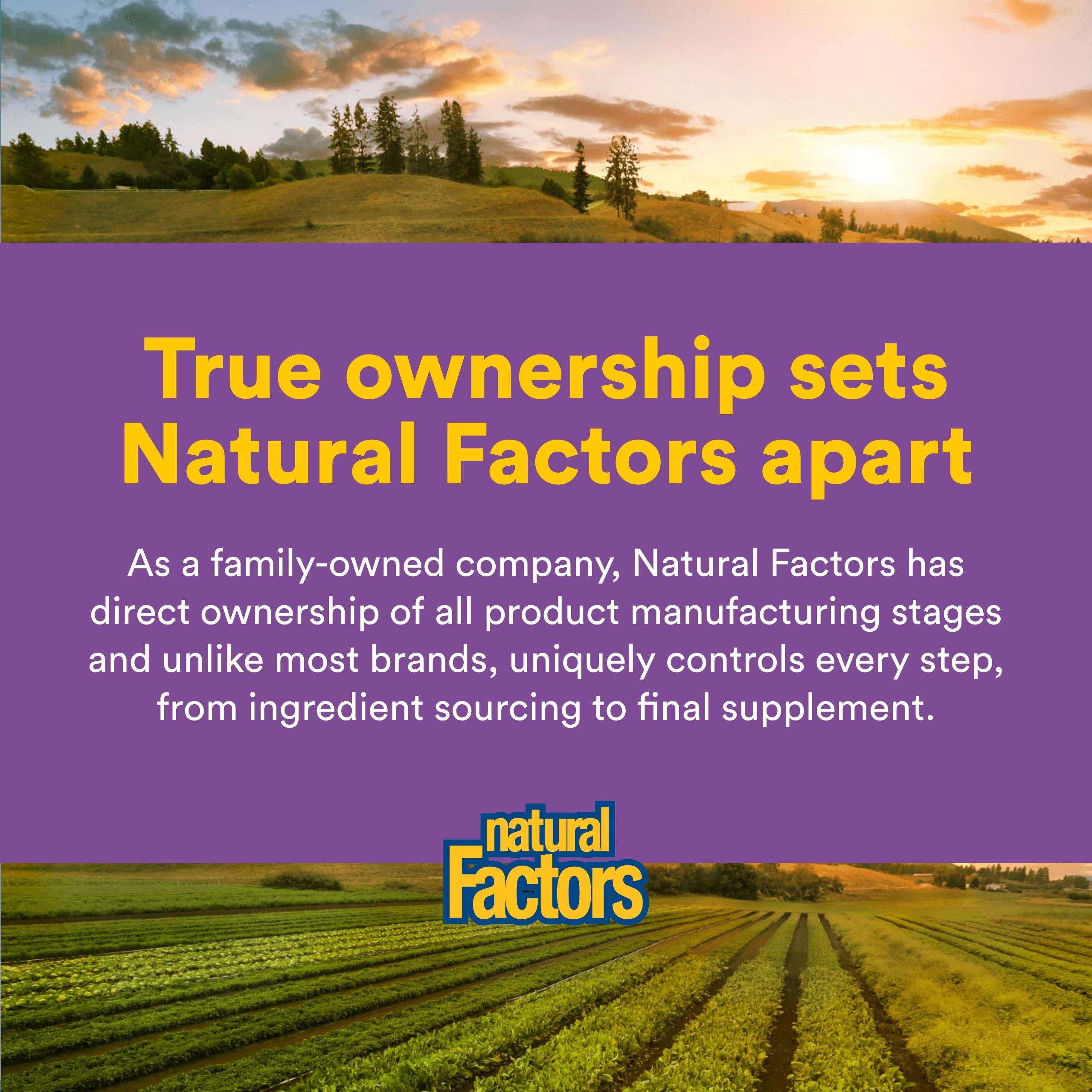 Natural Factors CoQ10 softgels in hand for daily use