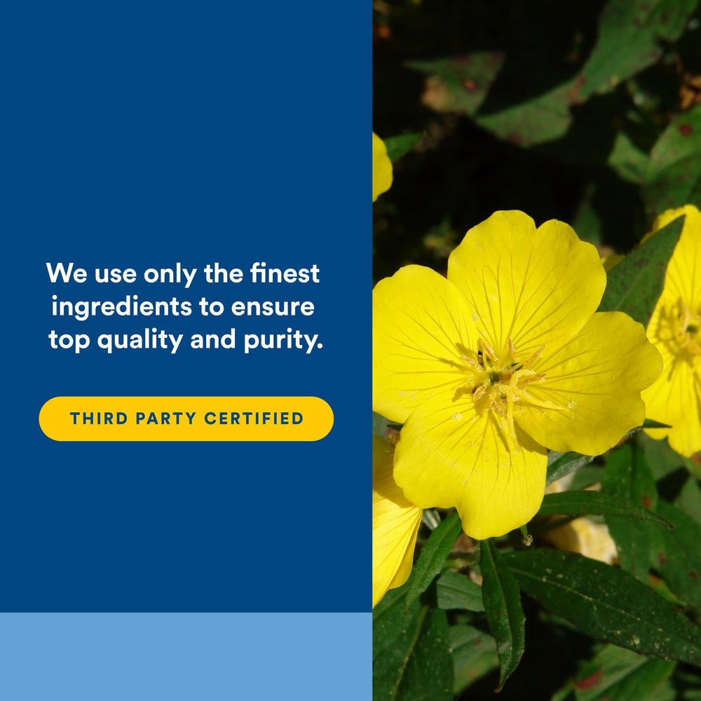 Natural Factors Omega Factors Ultra Prim bottle with easy-to-swallow softgels for daily use.