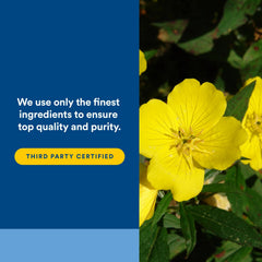 Natural Factors Omega Factors Ultra Prim bottle with easy-to-swallow softgels for daily use.