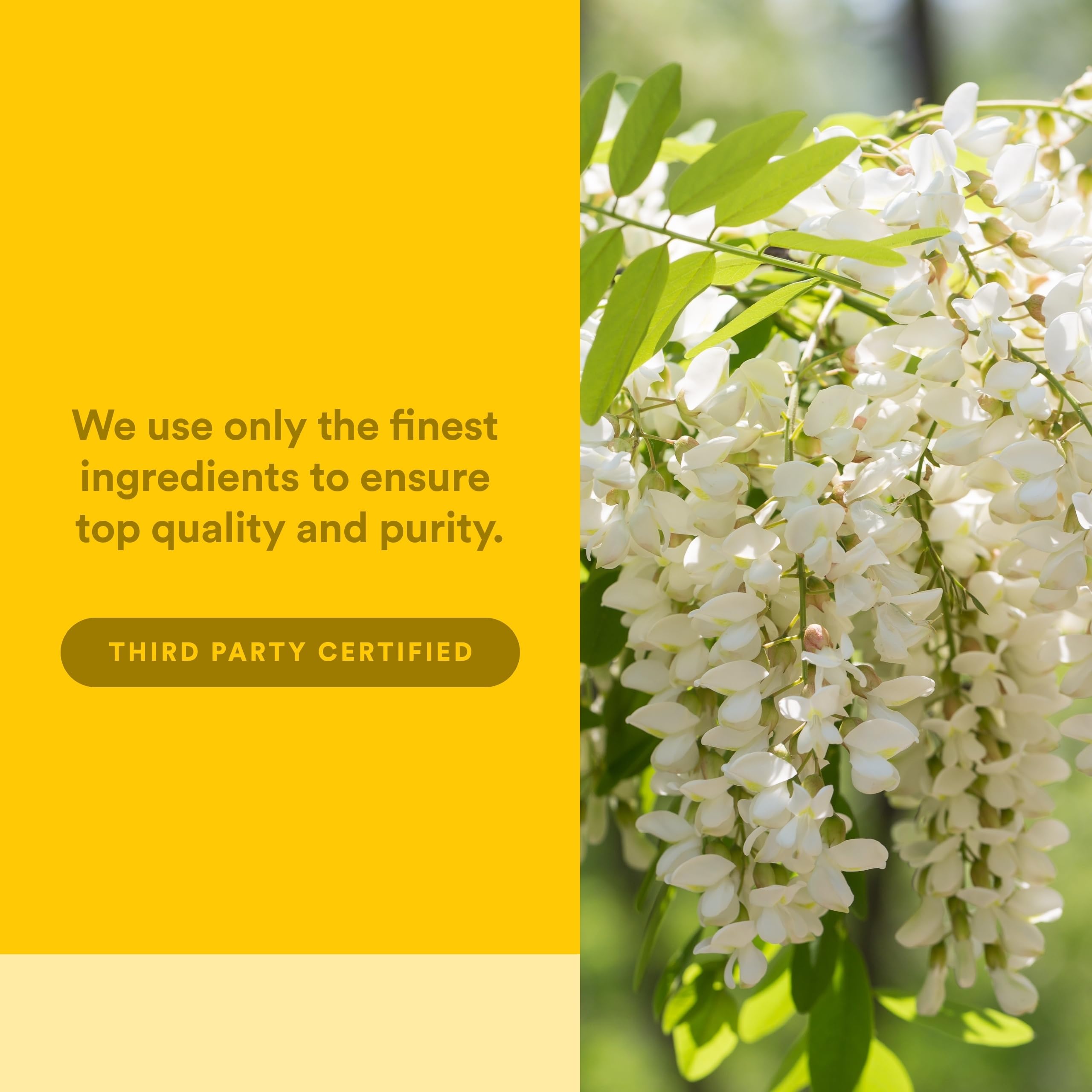Natural Factors Quercetin ingredients label close-up for ingredient clarity.