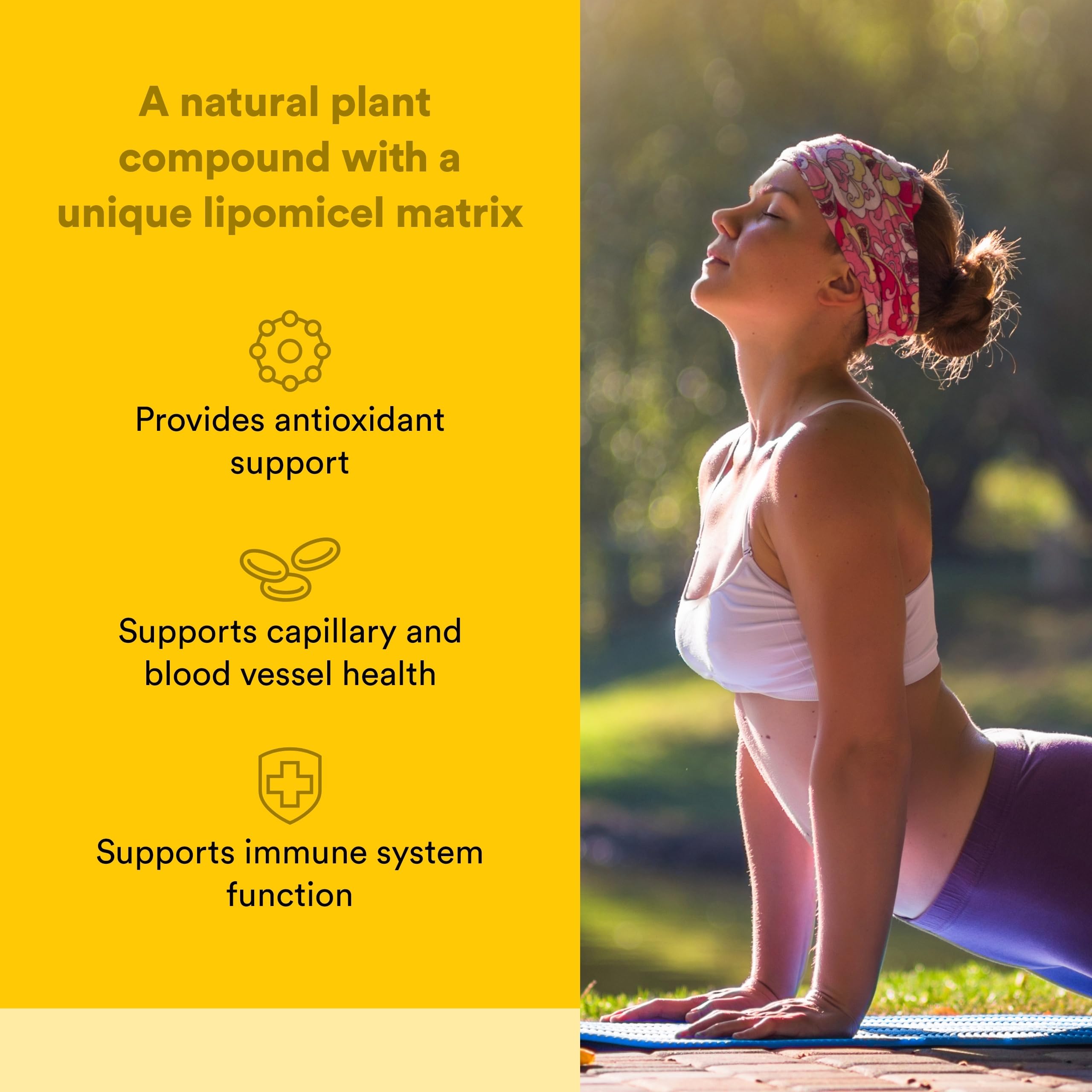 Natural Factors Quercetin lipomicel matrix absorption graphic highlighting improved bioavailability.