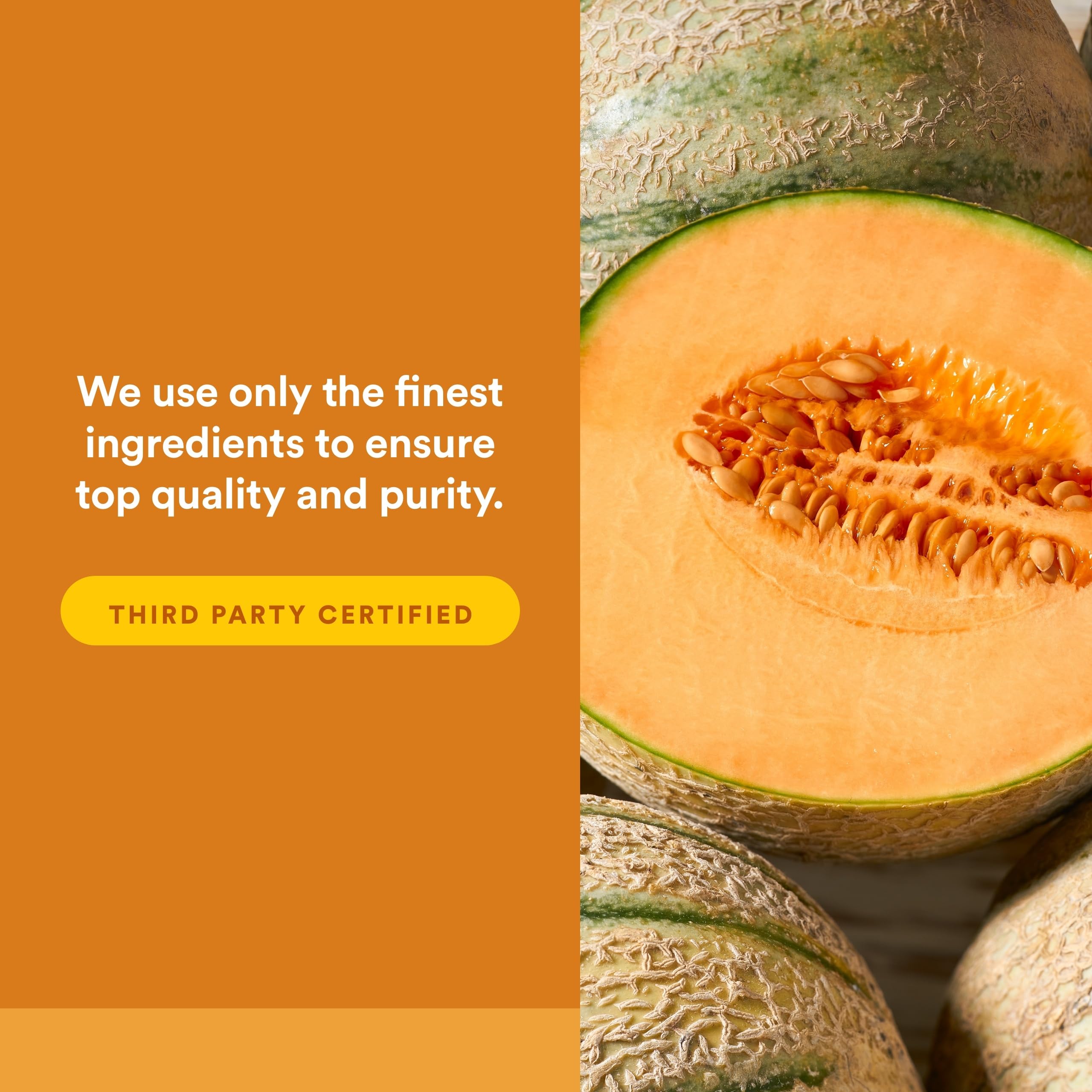 Natural Factors RegenerLife ingredients CoQ10 providing antioxidant cellular support.