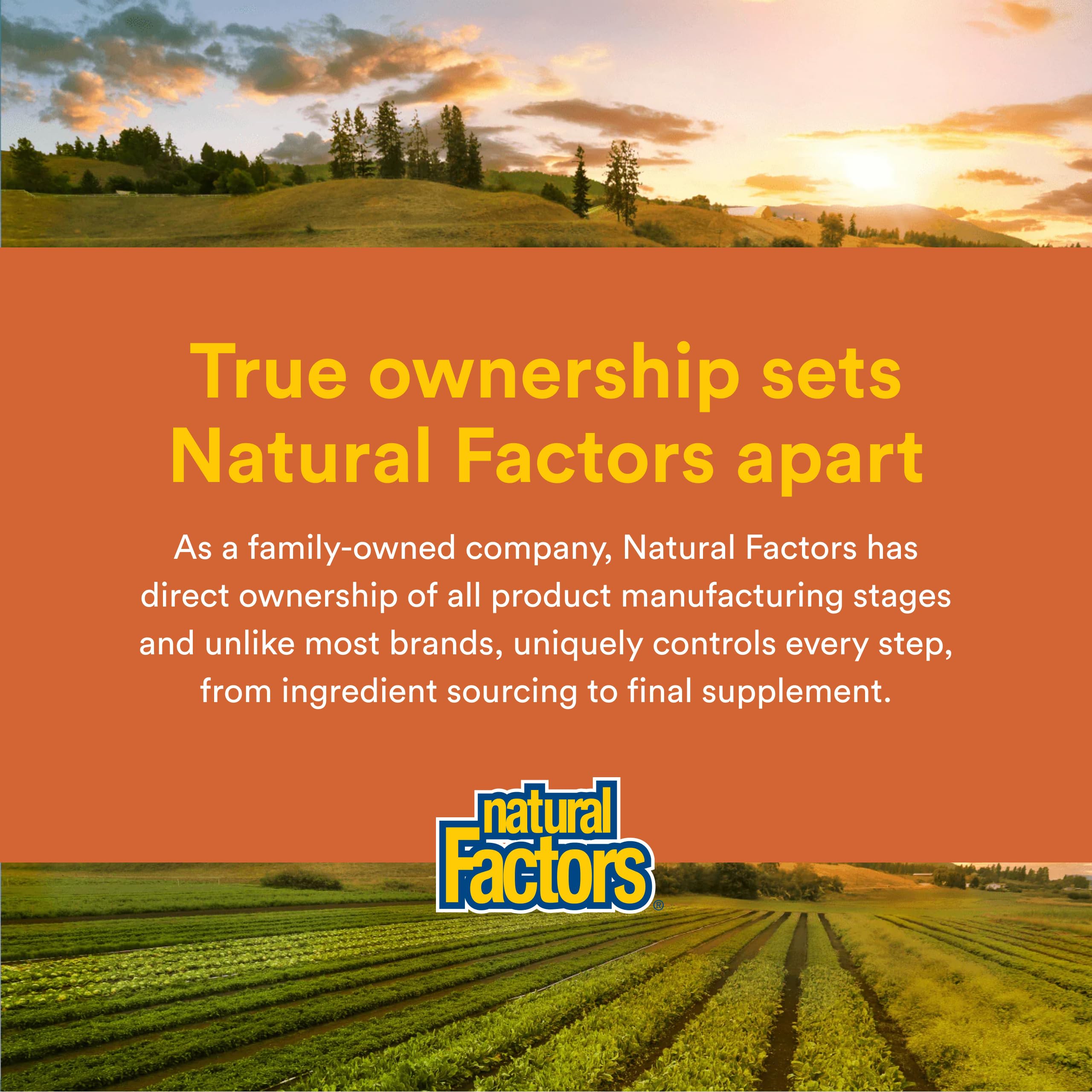 Natural Factors Regenerlife NMN NAD+ Boost supplement scene on countertop.