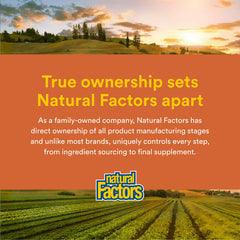 Natural Factors Regenerlife NMN NAD+ Boost supplement scene on countertop.