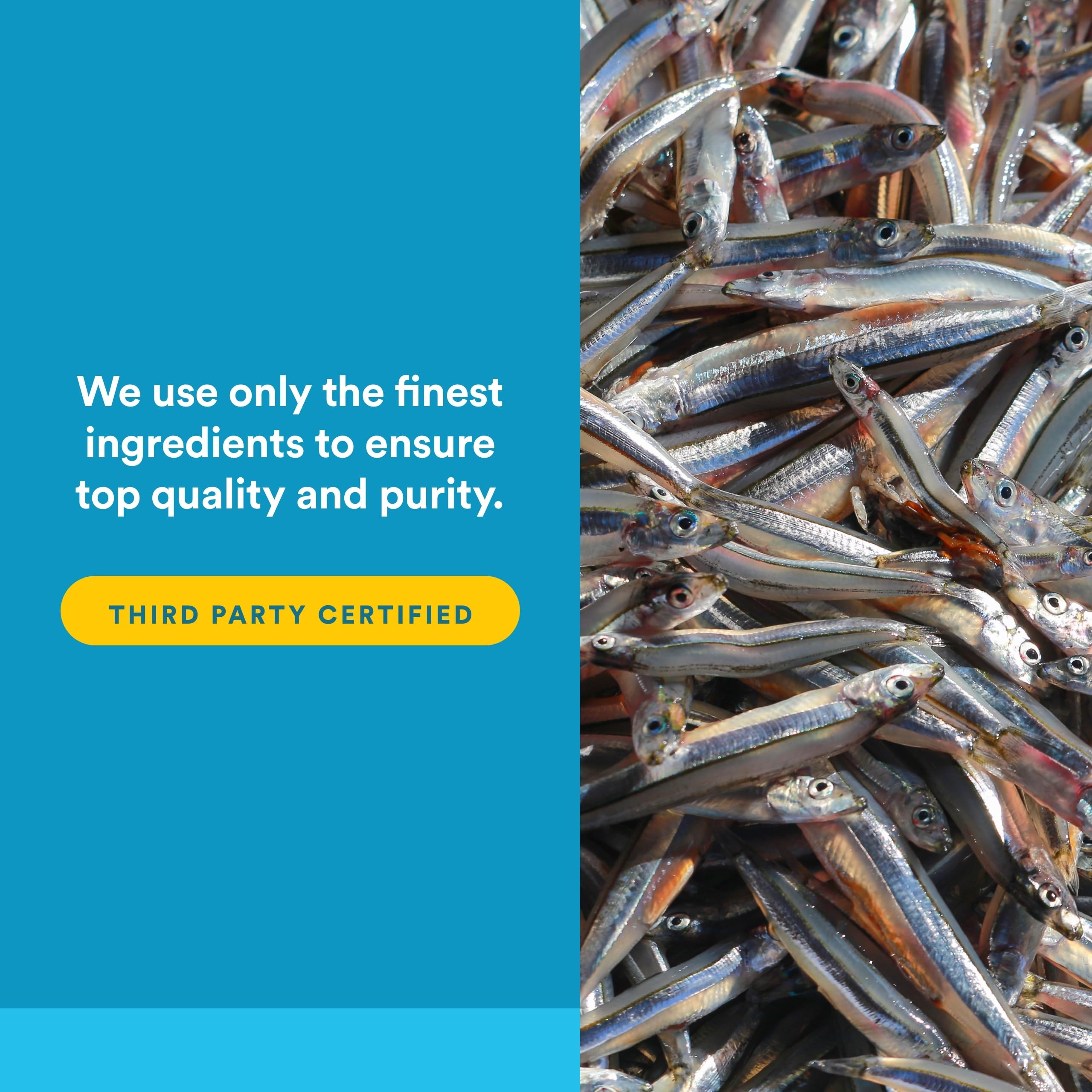 Natural Factors RxOmega-3 Ultra Strength purity visual emphasizing purity