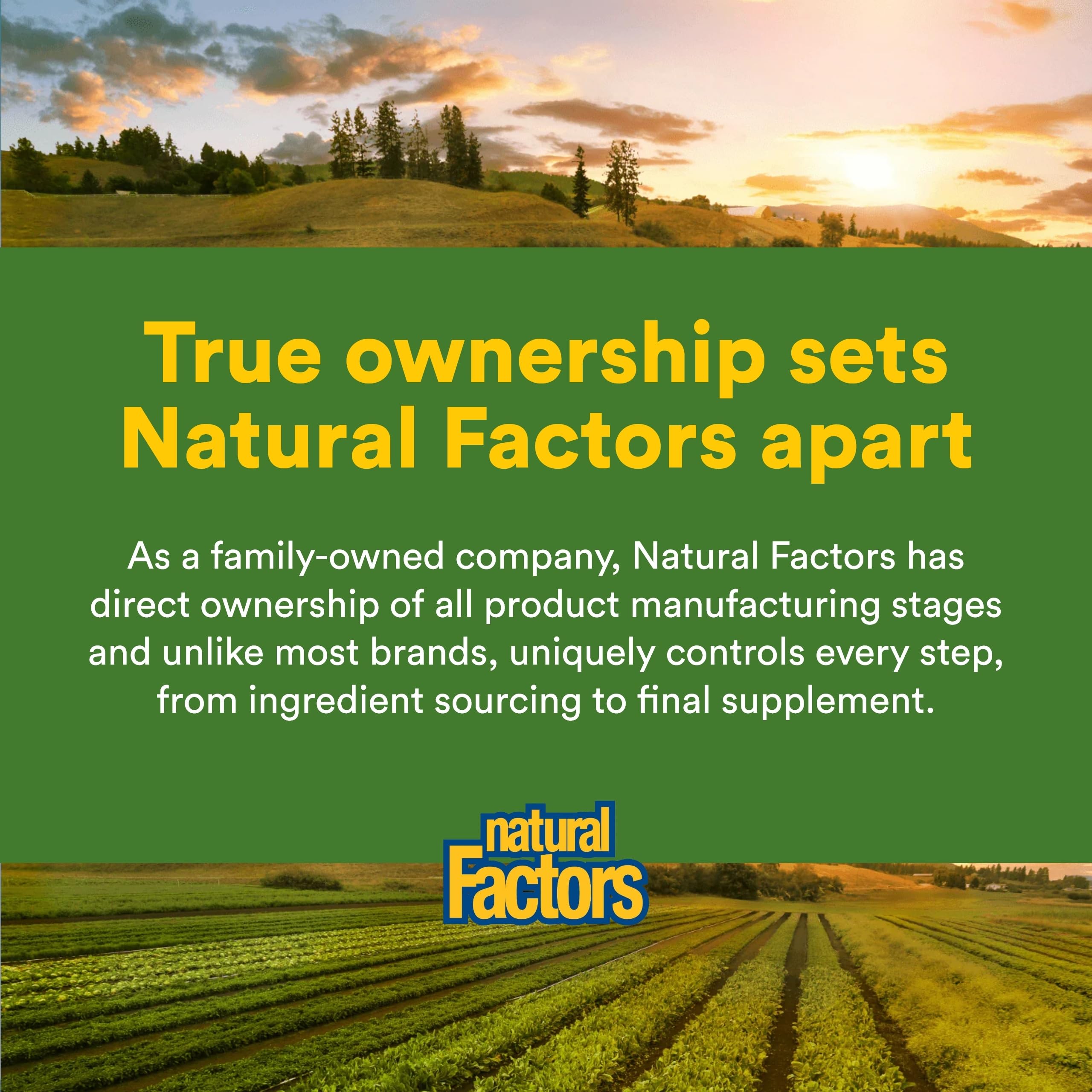 Natural Factors tropical flavor powder ready to mix into water or shakes for everyday nutrition.
