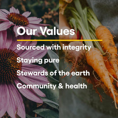 Use scene of Natural Factors Ultimate Probiotic Critical Care supplement being taken.