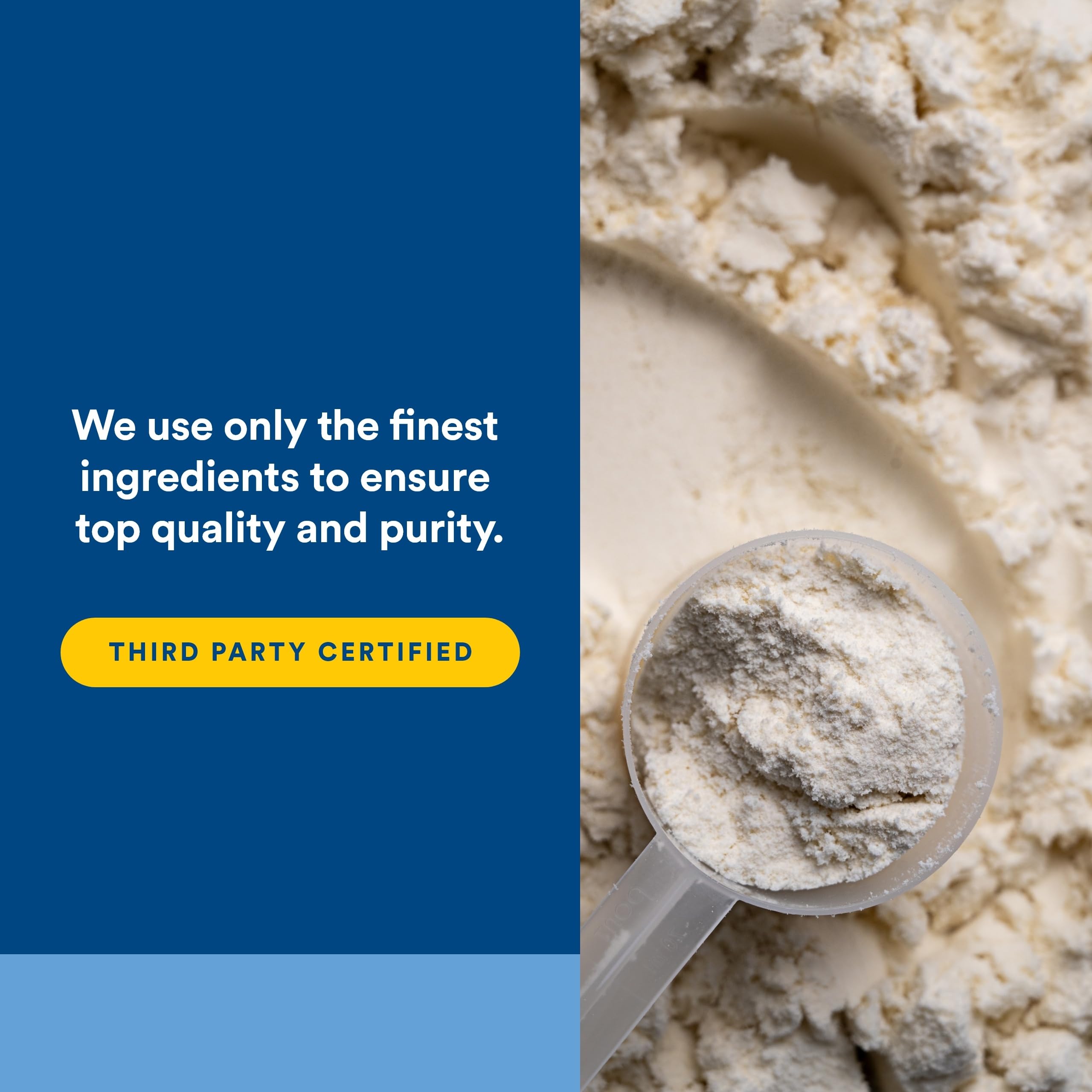 Natural Factors Whey Factors French Vanilla ingredients include bromelain for smoother digestion.