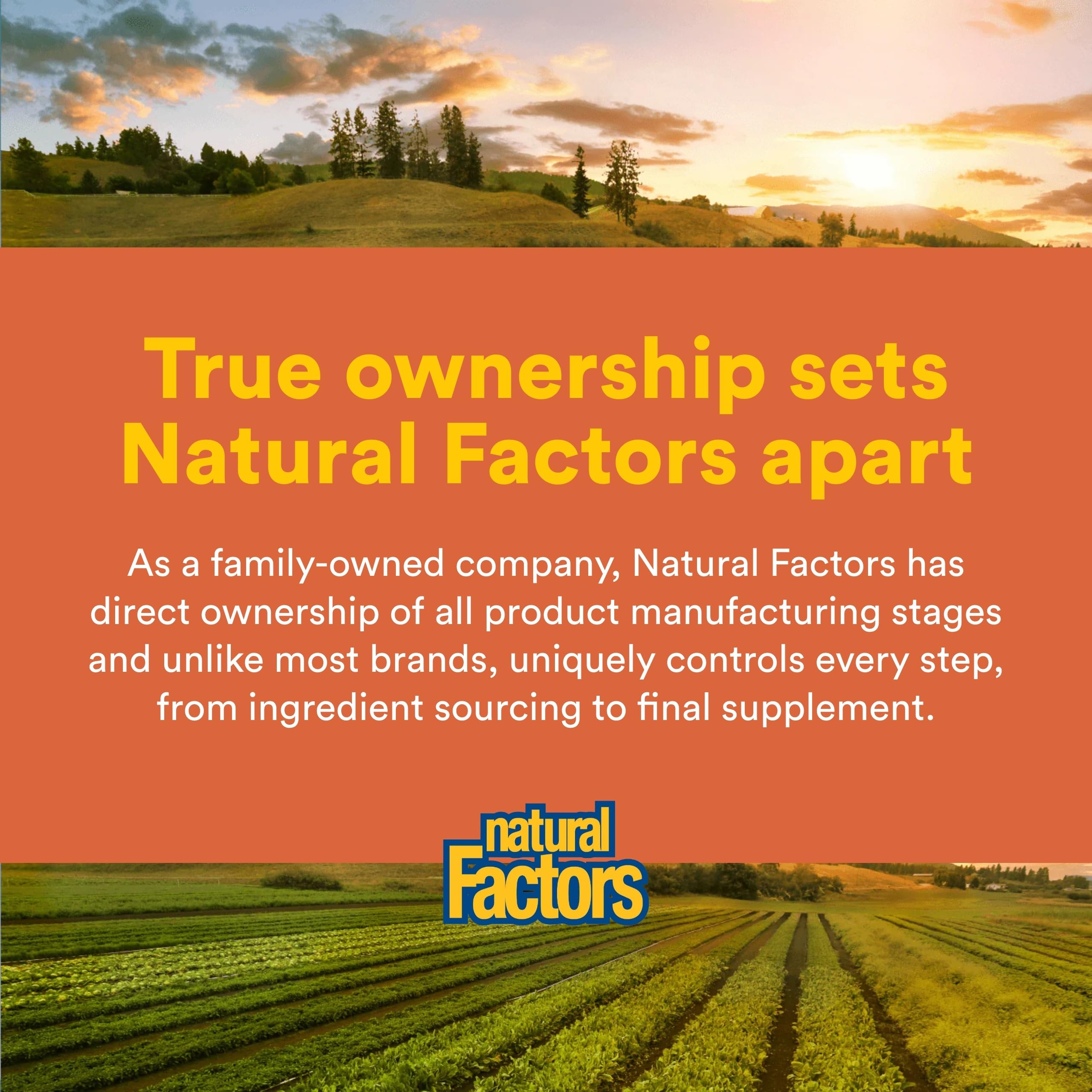 Natural Factors microfiltered whey close-up showcasing purity and low lactose
