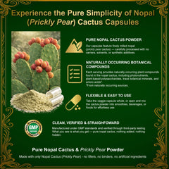 Natural Home Cures Nopal 4-bottle pack displayed for savings.