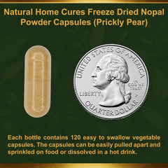 Natural Home Cures Nopal capsules with non-GMO seal trusted.