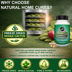 Natural Home Cures Nopal capsules pouring into smoothie for easy use.