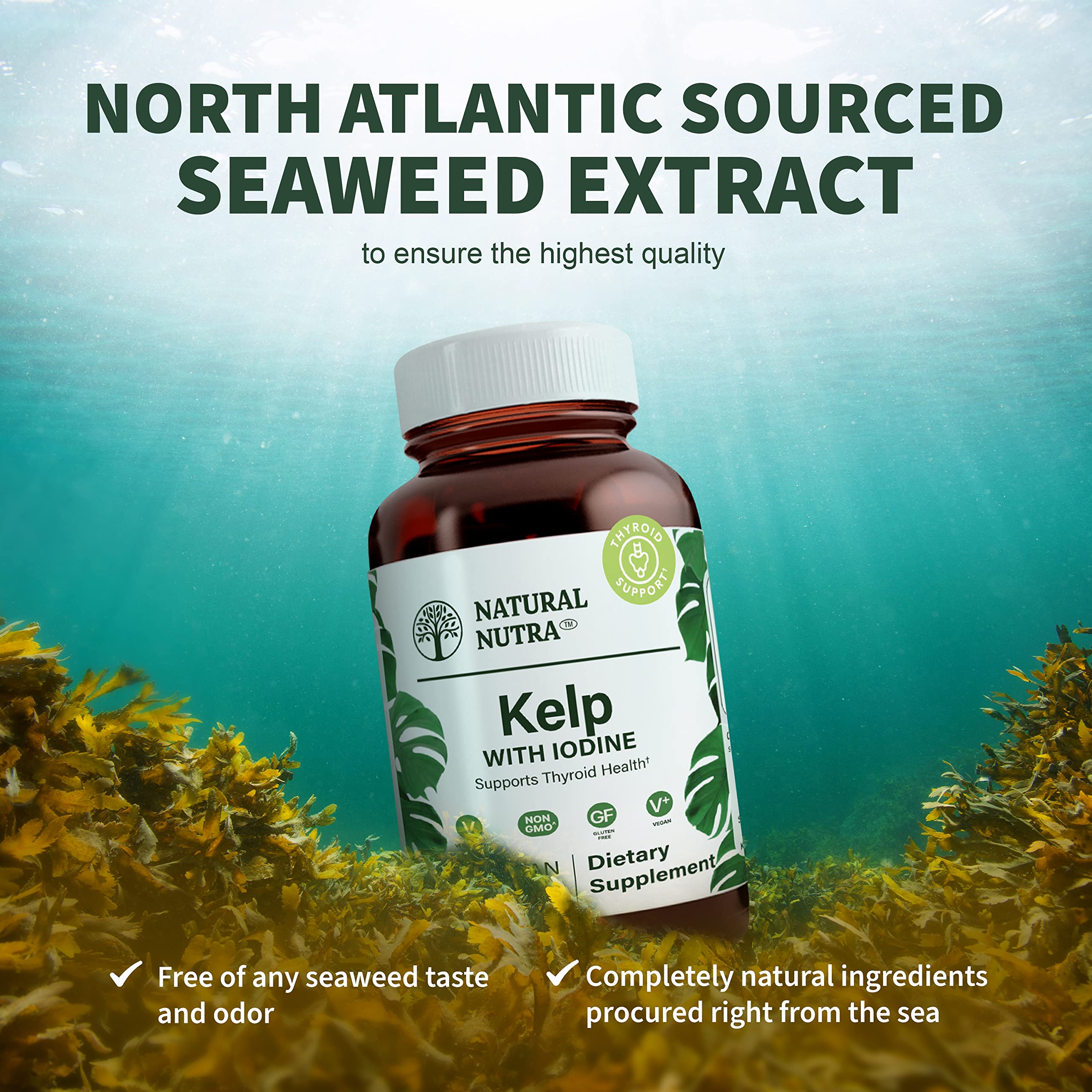 Natural Nutra Kelp Iodine daily use scene suggests routine and consistency