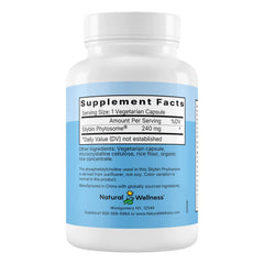 Natural Wellness Maximum Milk Thistle bottle label closeup highlights Silybin Phytosome technology.