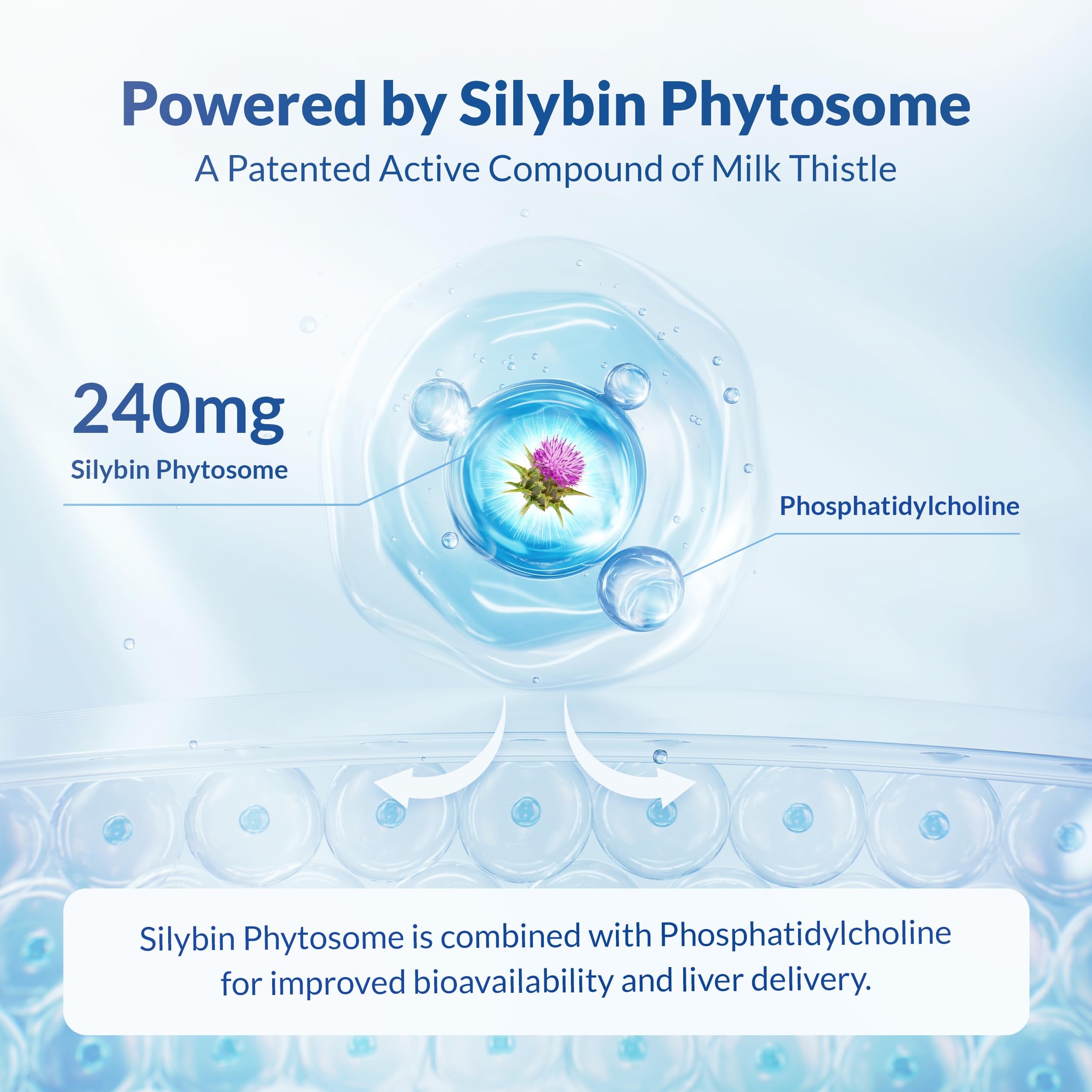 Natural Wellness Maximum Milk Thistle vegan capsules emphasize gluten-free and non-GMO formula.