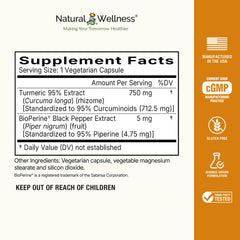 Natural Wellness Turmeric 95 label shows 95% curcuminoids for potent support