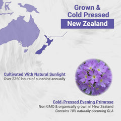 Naturalis Evening Primrose Oil label shows non-GMO and gluten-free features for clean ingredients.