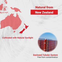 Graphic of Naturalis ingredients: MCT oil and sunflower Vitamin E for stability.